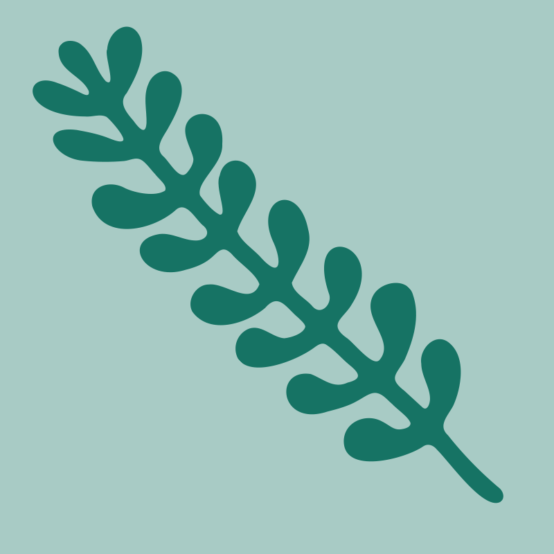 vector branch sprig