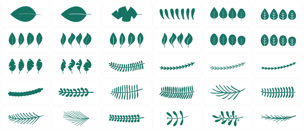 Vector plants and leaves